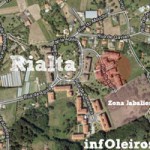 ataques-jabalies-rialta-dorneda
